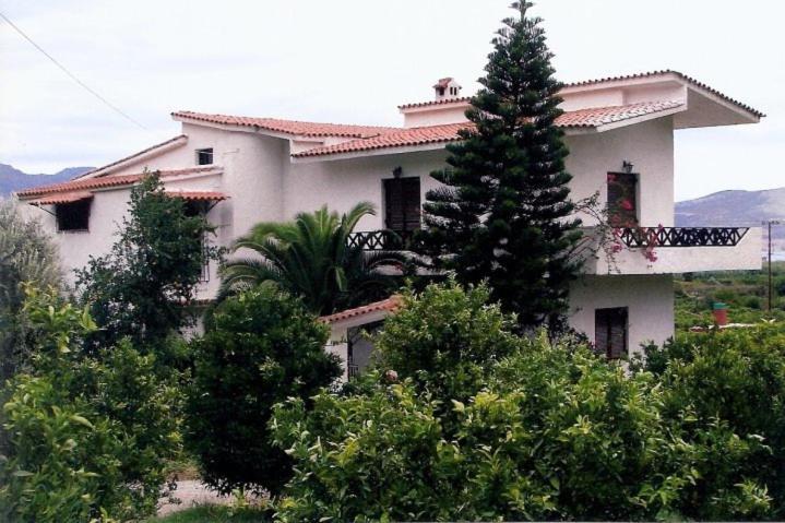 Lemon Tree House Βίλα Καλλονή Εξωτερικό φωτογραφία